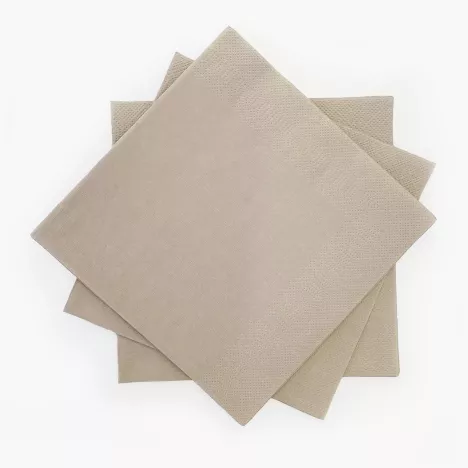 Serwetki papierowe DUKA MONONORD 33x33 cm 20 szt. beżowe