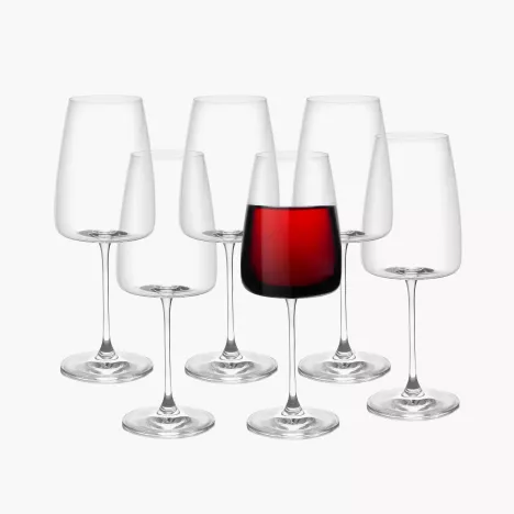 Kieliszki do czerwonego i białego wina DUKA GUSTAV 6 szt. 650 ml szkło kryształowe