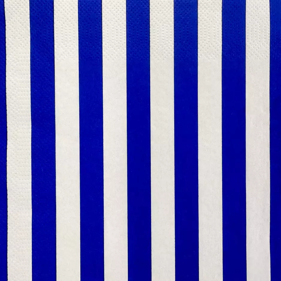Serwetki w paski DUKA RANDIG 33x33 cm białe niebieskie