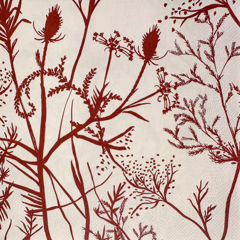 Serwetki papierowe DUKA GABRIELA FUENTE 33x33cm 20 szt. beżowe bordowe