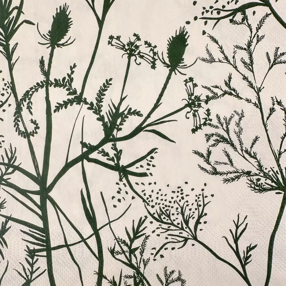 Serwetki papierowe GABRIELA FUENTE 33x33cm 20 szt. beżowe zielone