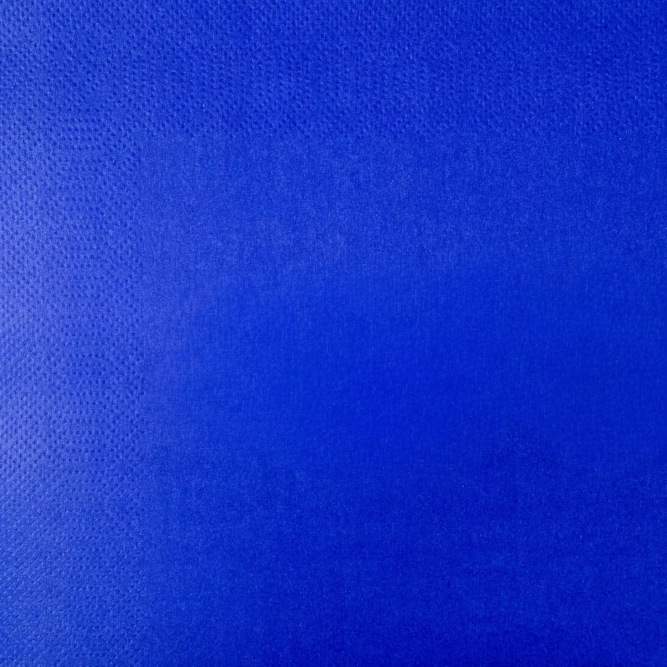 Serwetki papierowe DUKA MONONORD 33x33 cm 20 szt. niebieskie