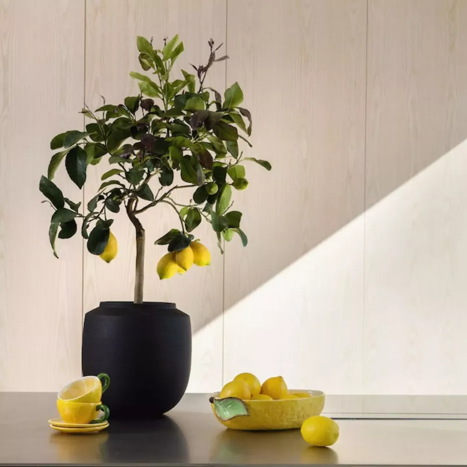 Filiżanka ze spodkiem BYON FRUITY cytryna 250 ml