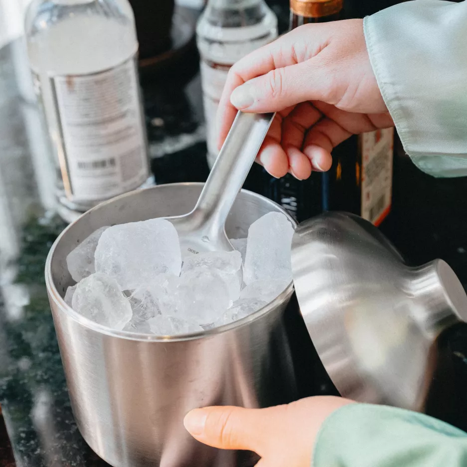 Pojemnik na lód EVASOLO Liquid Lounge