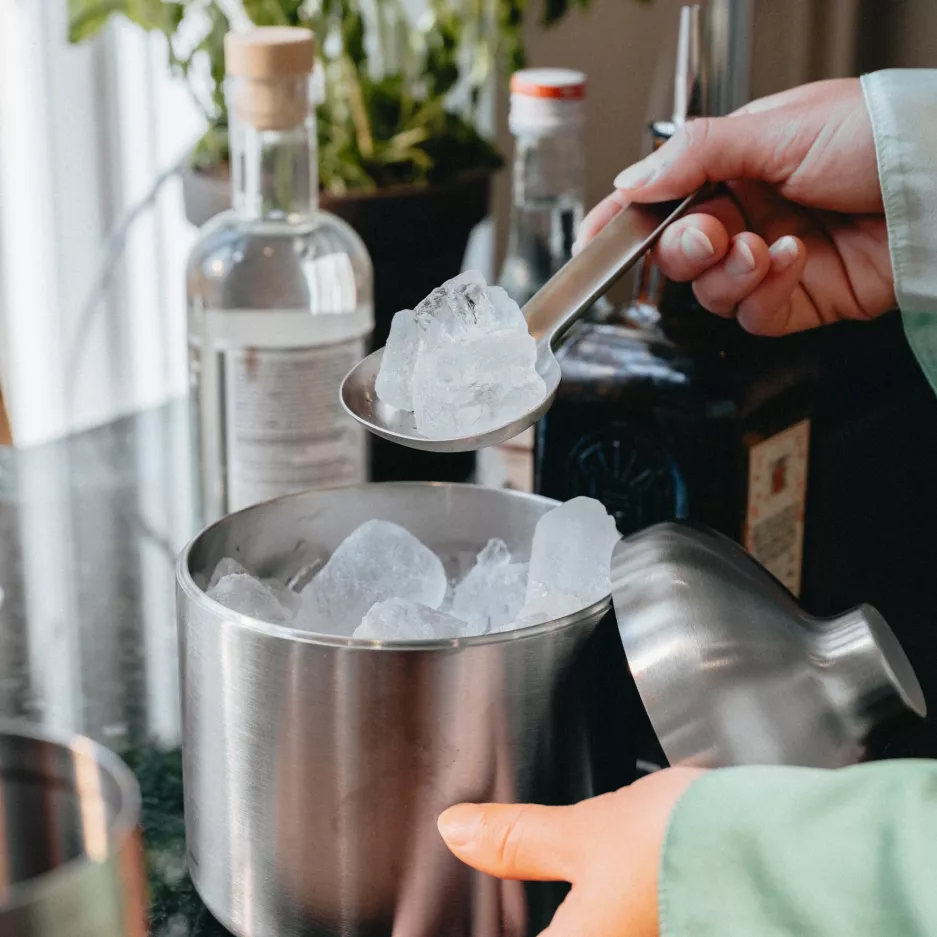 Pojemnik na lód EVASOLO Liquid Lounge