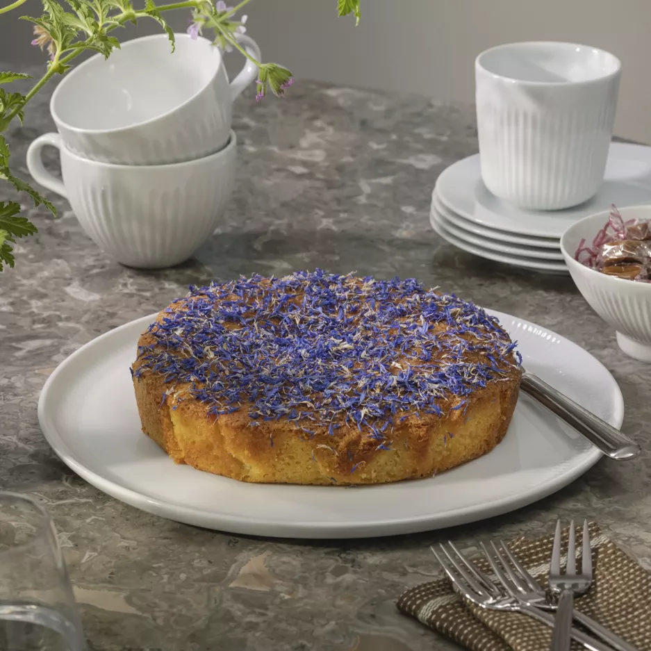 Talerz na pizza EVASOLO Legio Nova 31,5 cm