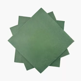 Serwetki papierowe DUKA MONONORD 33x33 cm 20 szt. zielone